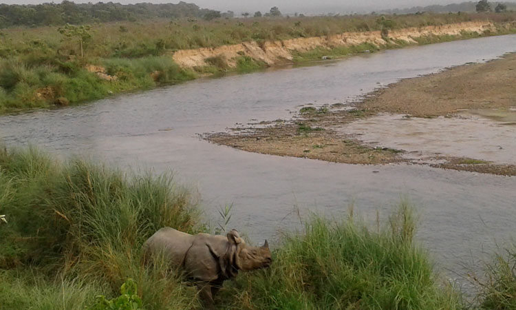 Chitwan Wildlife Tour