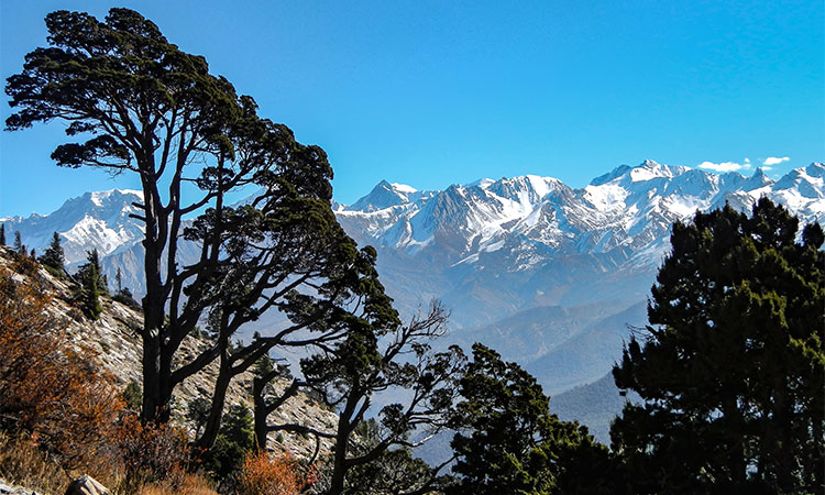 Around Dhaulagiri trek