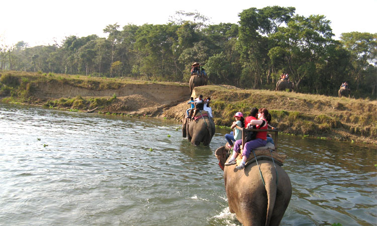 Elephant Safari at Chitwan National Park