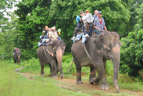 Chitwan National Park