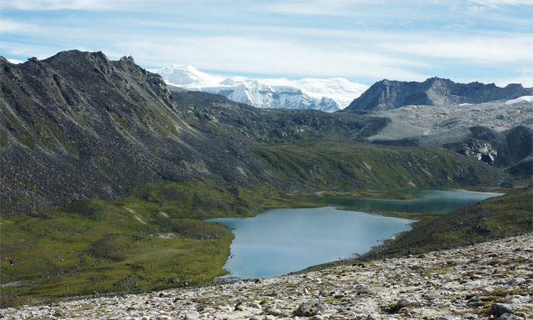 Laya Gasa trekking