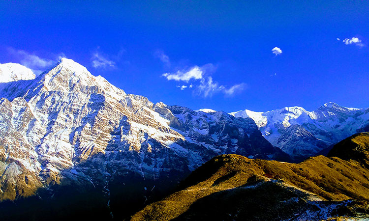 Mardi Himal Trekking