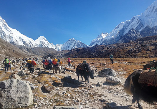 13-Days Sherpa Village Lodge Trek