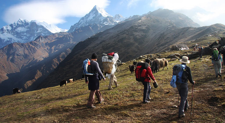 annapurna circuit trekking