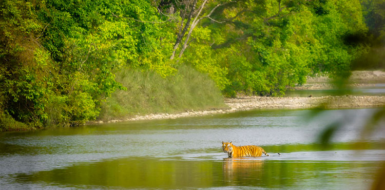 Bardia-National-Park