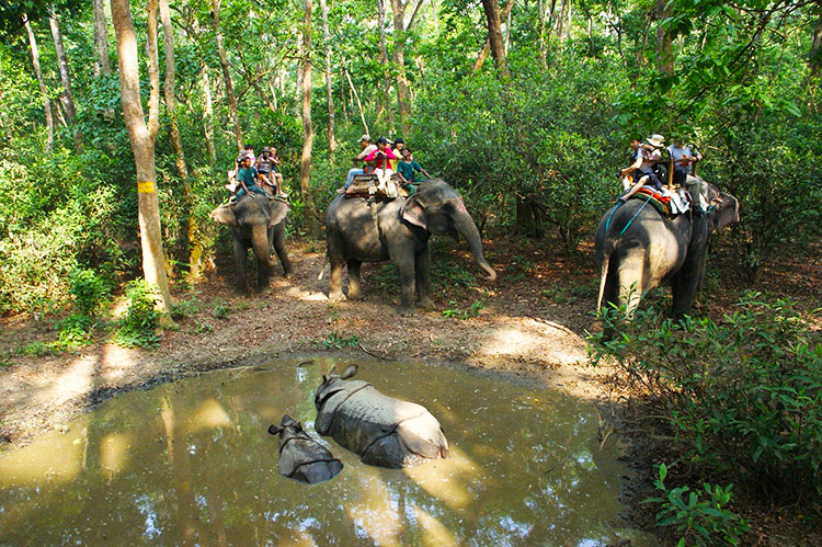 Chitwan-National-Park-2