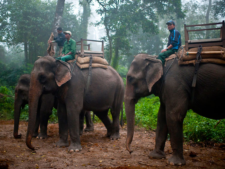 Chitwan-National-Park