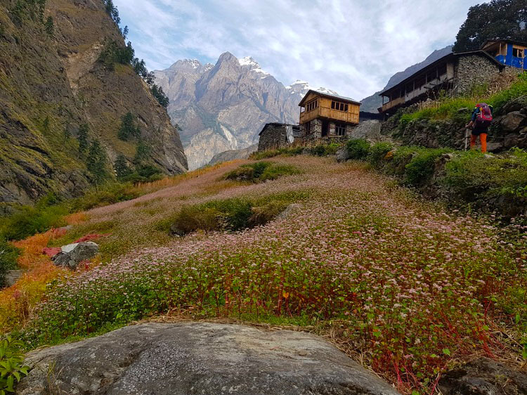 Manaslu-Trek