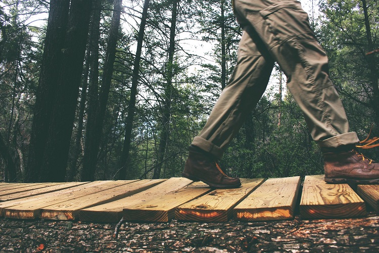 Trekking Pants