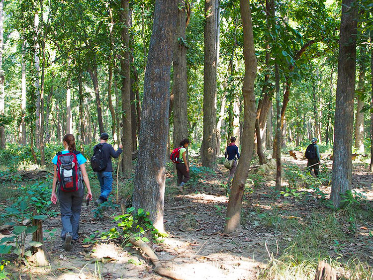 Bardia-National-Park