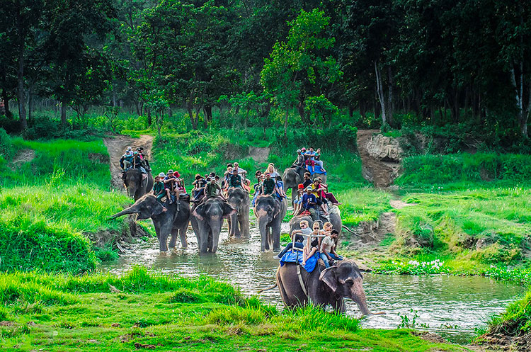 Chitwan-national-park-safari