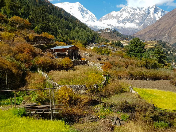 Manaslu-Base-Camp-trek