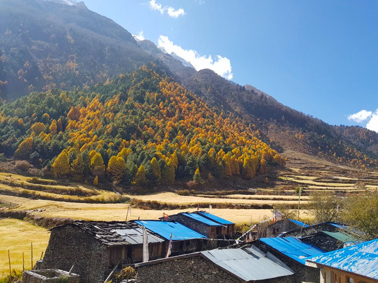 Manaslu-Trek-After-Earthquake